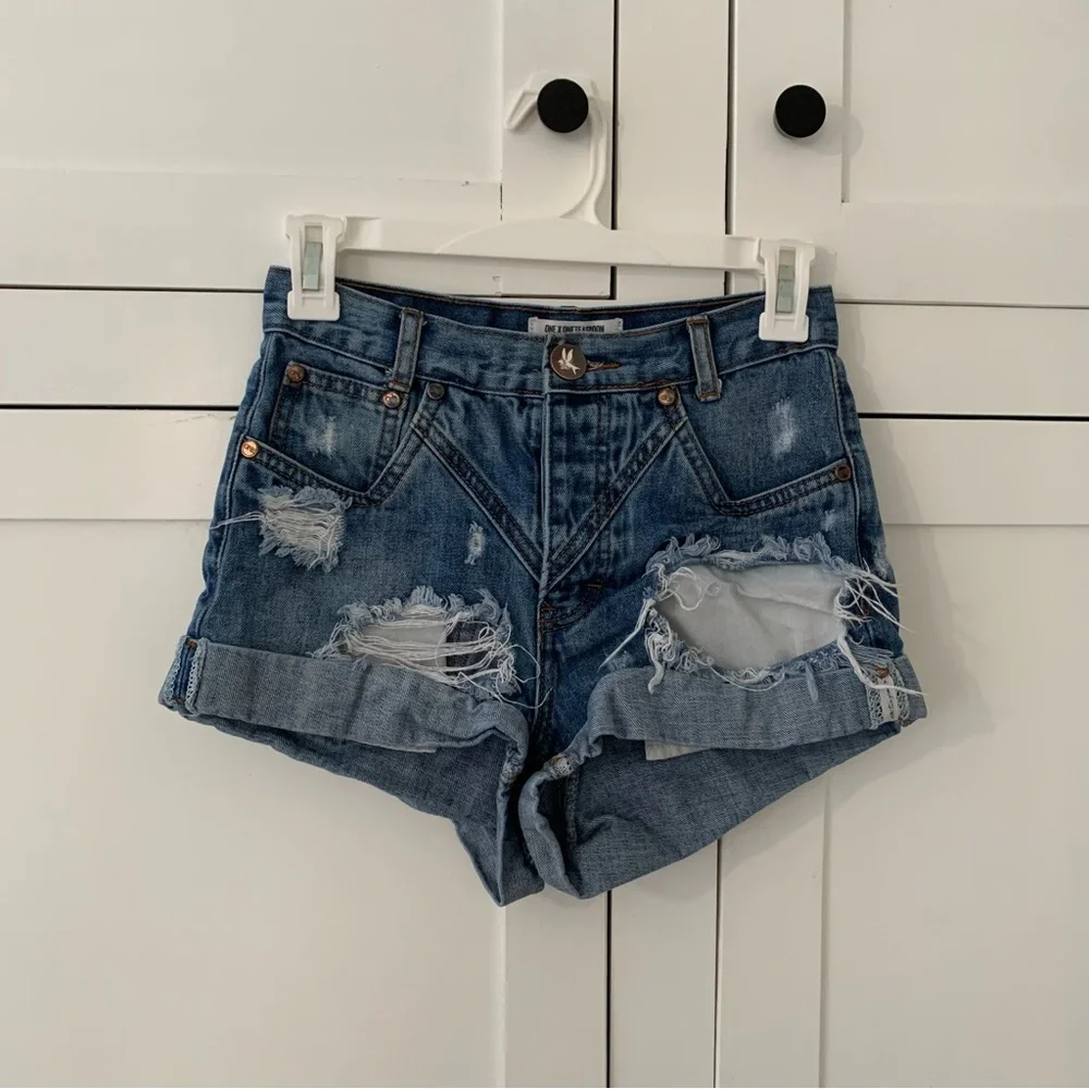 One X Oneteaspoon Button Fly Distressed Size 22 Shorts